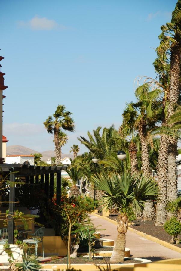 Holiday House Fuerteventura Коста Калма Экстерьер фото